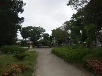新田公園の写真