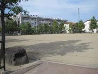 栄公園の写真