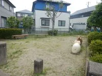 中田土手内公園の写真