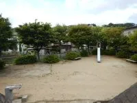 青山公園の写真