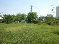 太白二丁目公園の写真